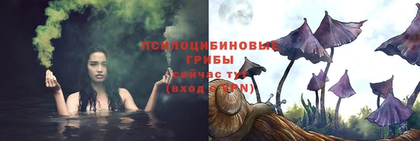 не бодяженный Надым