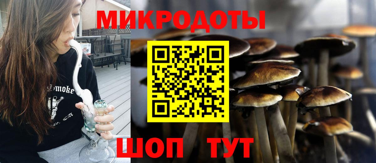 Галлюциногенные грибы Cubensis  Лосино-Петровский 