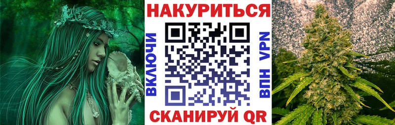 Бошки марихуана SATIVA & INDICA  как найти   МЕГА ССЫЛКА  Лосино-Петровский 